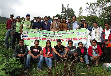 Participantes del proyecto