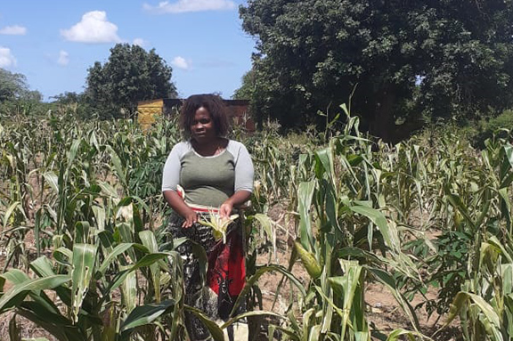 Agricultoras con un nuevo horizonte de trabajo en Mozambique