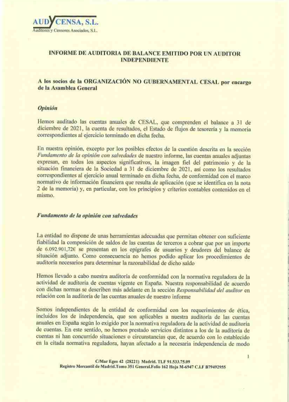 Informe auditora 2021 cesal