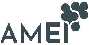 AMEI
