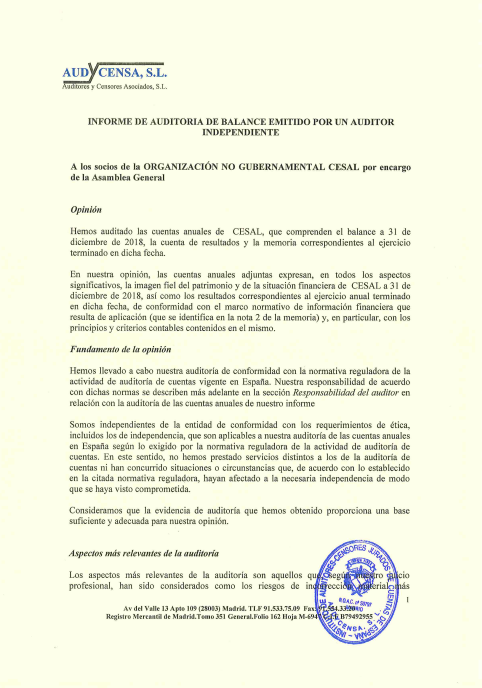 Informe de Auditoria 2018