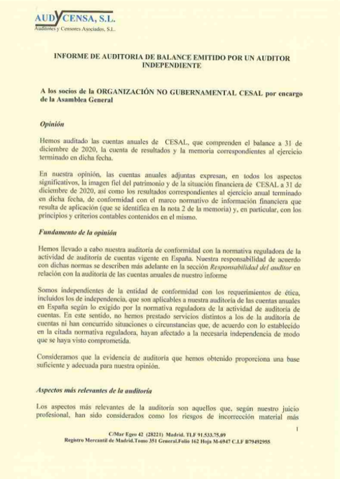 Informe de Auditora 2020