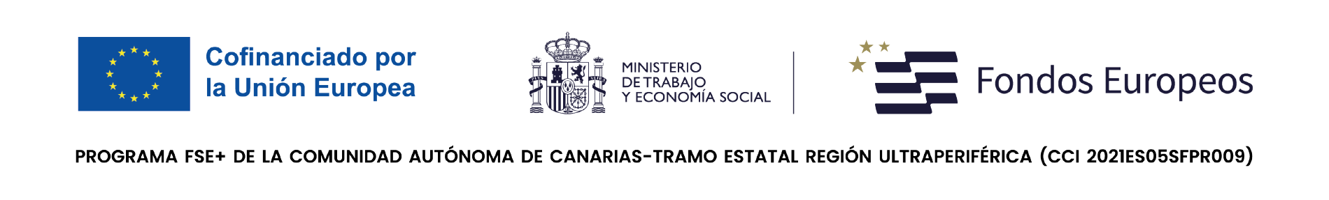 empleo vivo canarias