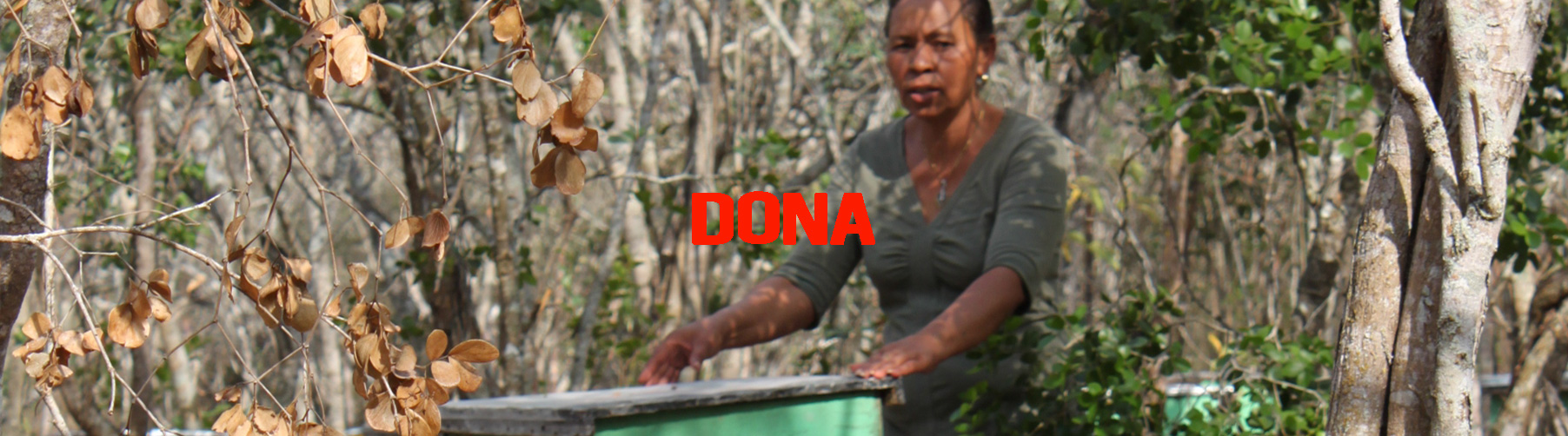 da del trabajo mujeres dona solidaridad cesal