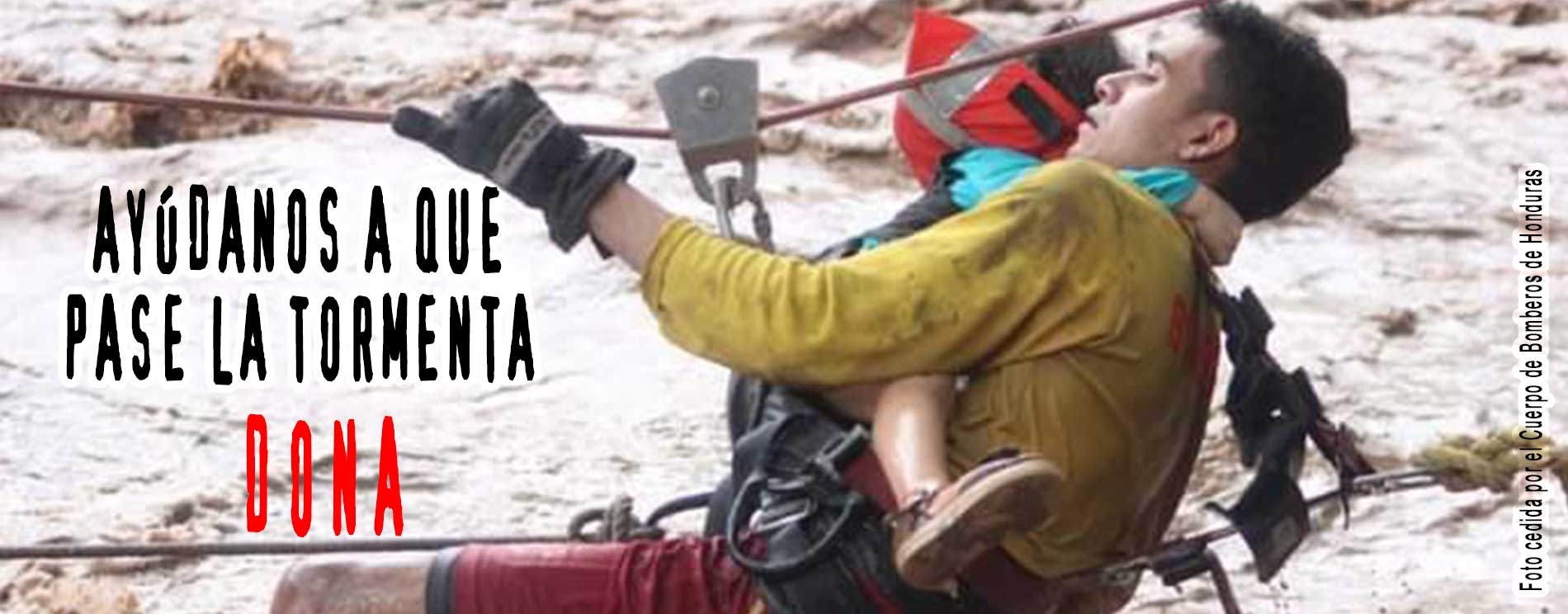 Banner DONA