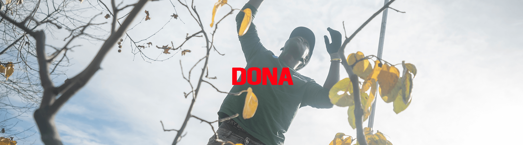 Da del trabajo juventud vulnerable empleo dona cesal