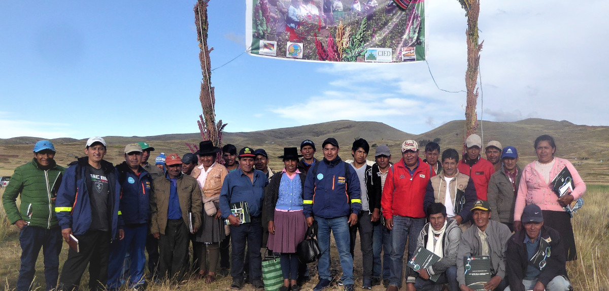 Pasanta en Puno