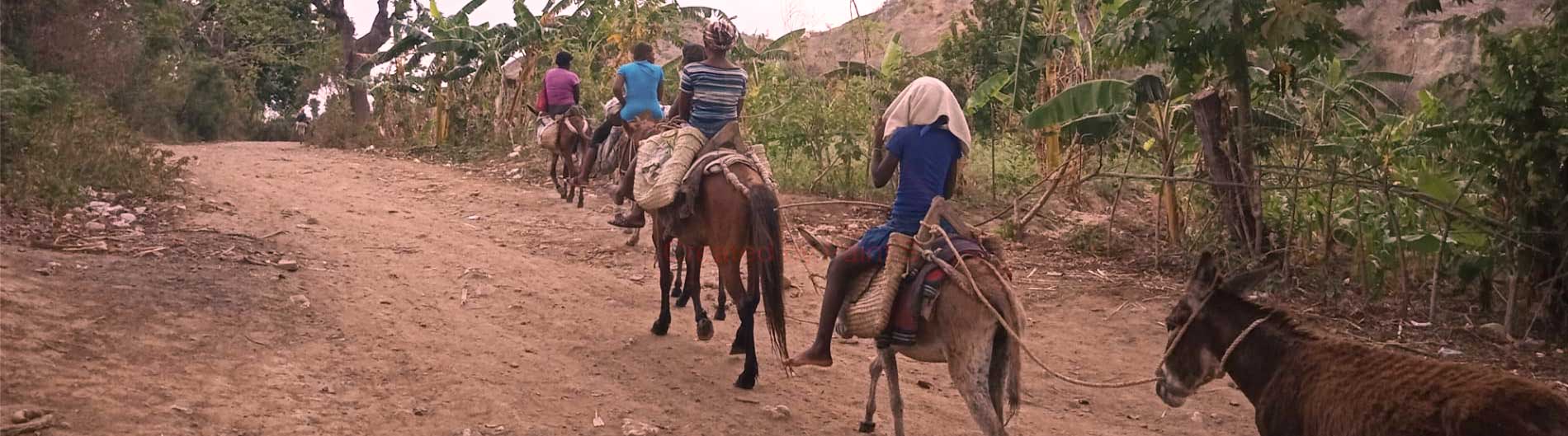coronavirus; emergencia; salud; CESAL; dona; voluntariado CESAL EN EL MUNDO