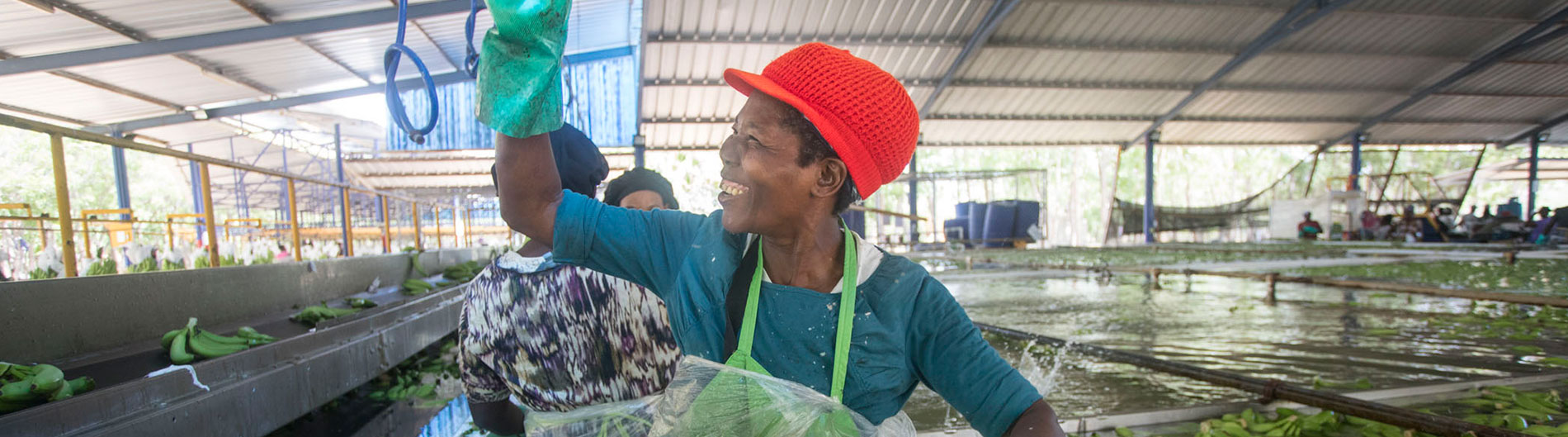 Cesal en Repblica Dominicana