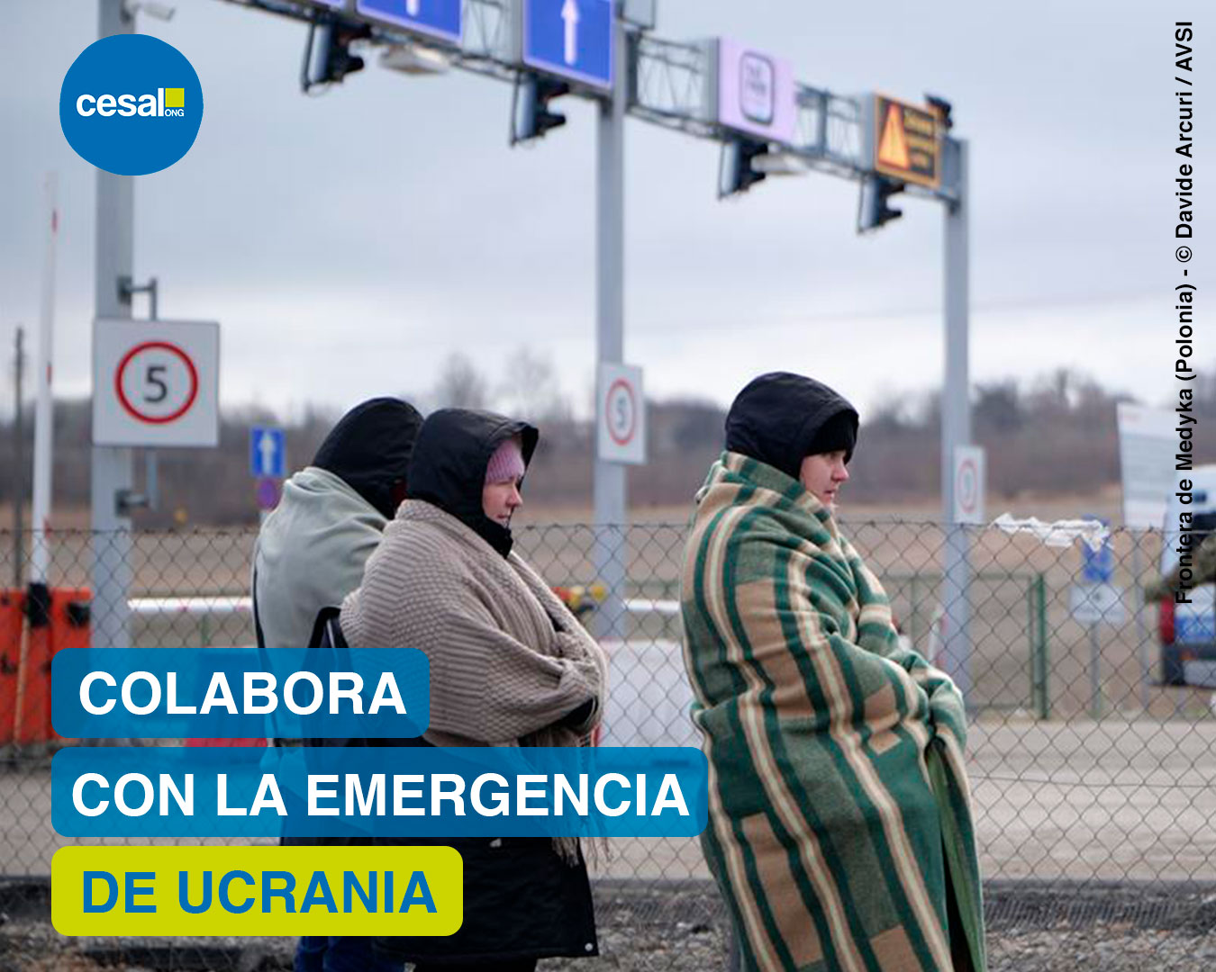Emergencia de Ucrania