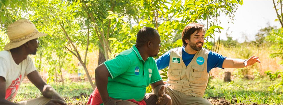 Medioambiente y cambio climtico