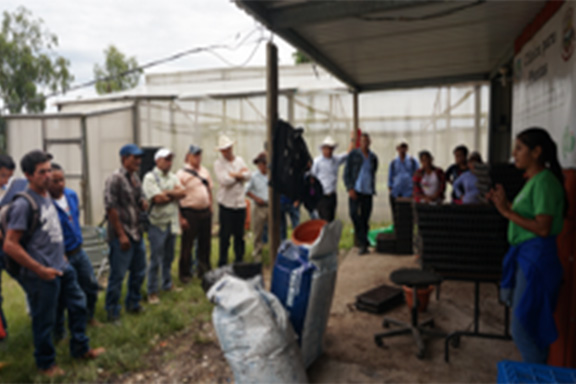 Grupo de personas capacitadas_occidente de Honduras_2018