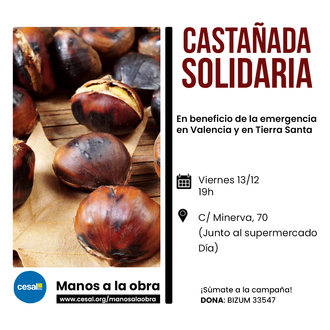 Castaada solidaria - Cesal