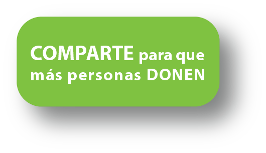 Da mundial refugiados ONG CESAL dona
