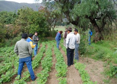 peru