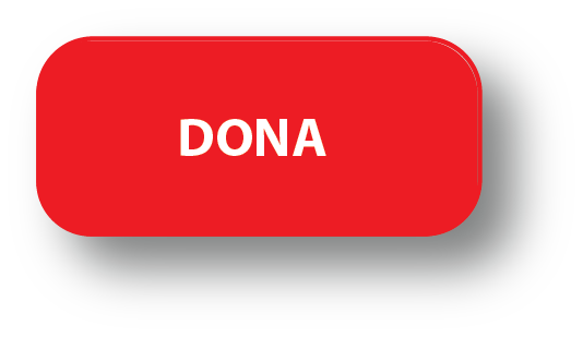 Da mundial refugiados ONG CESAL dona