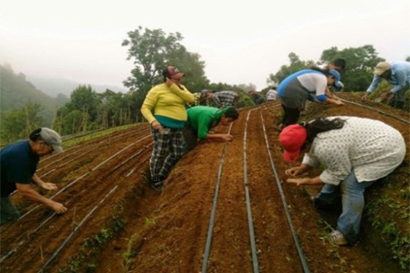 Escuelas de Campo_Honduras_2018