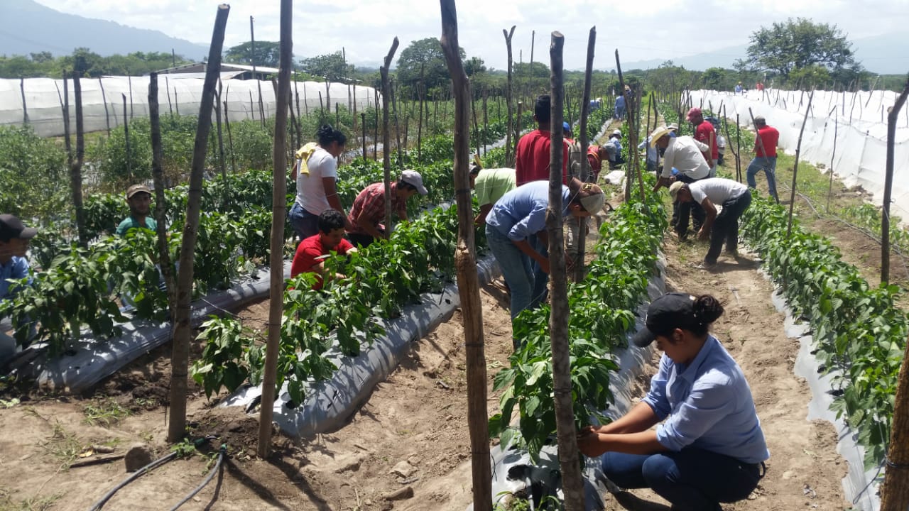 Graduacin de Escuelas de Campo_2018