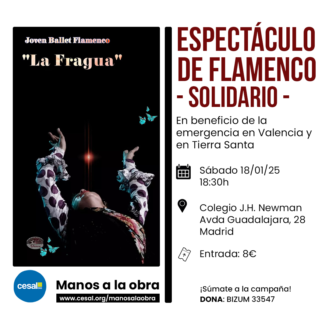 Espectculo de flamenco - Cesal
