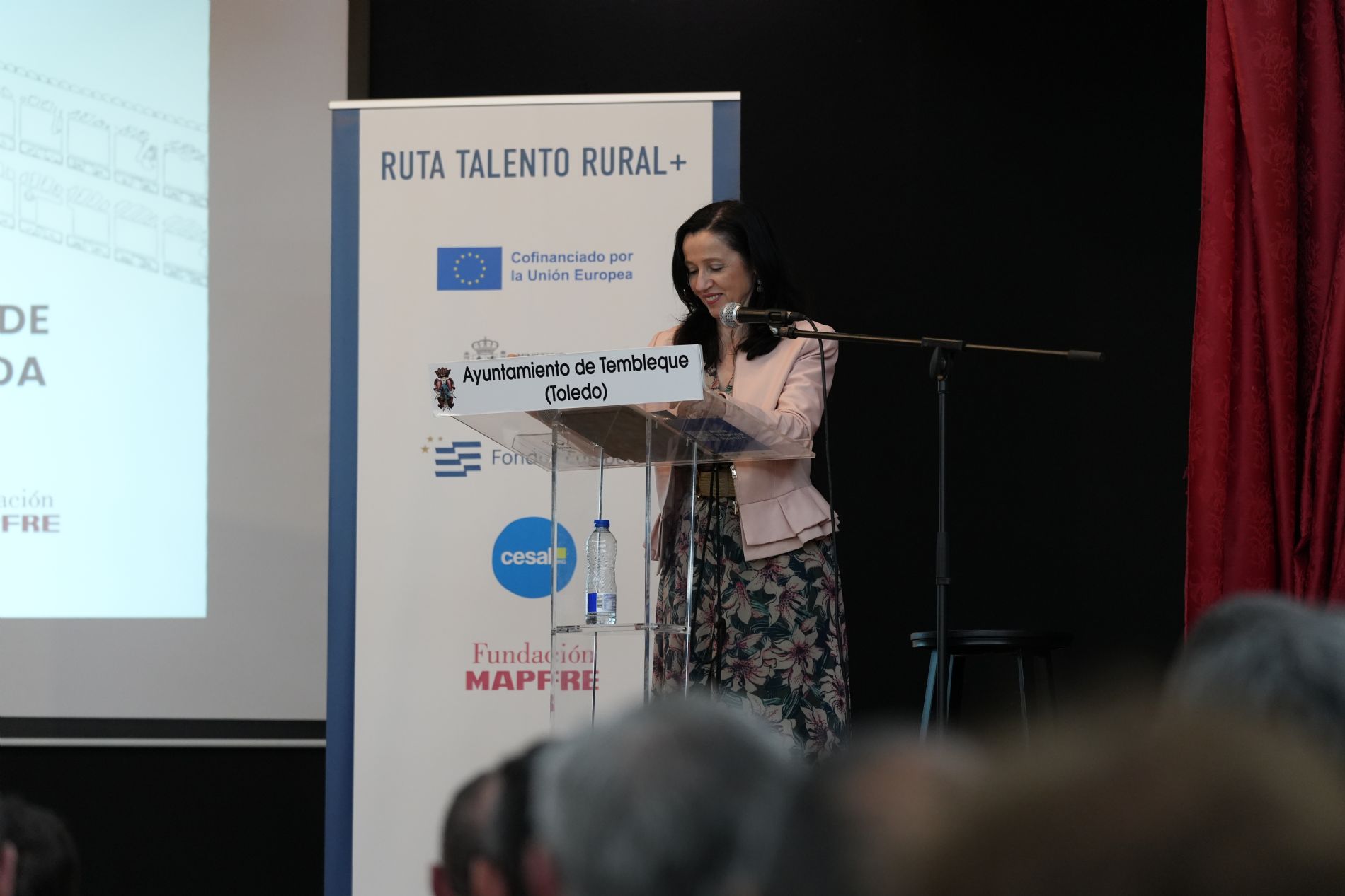Mara Dolores Moya, Directora de Fondos Europeos de la Fundacin MAPFRE