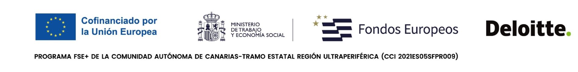 Fald�n financiadores | Empleo Vivo y Deloitte