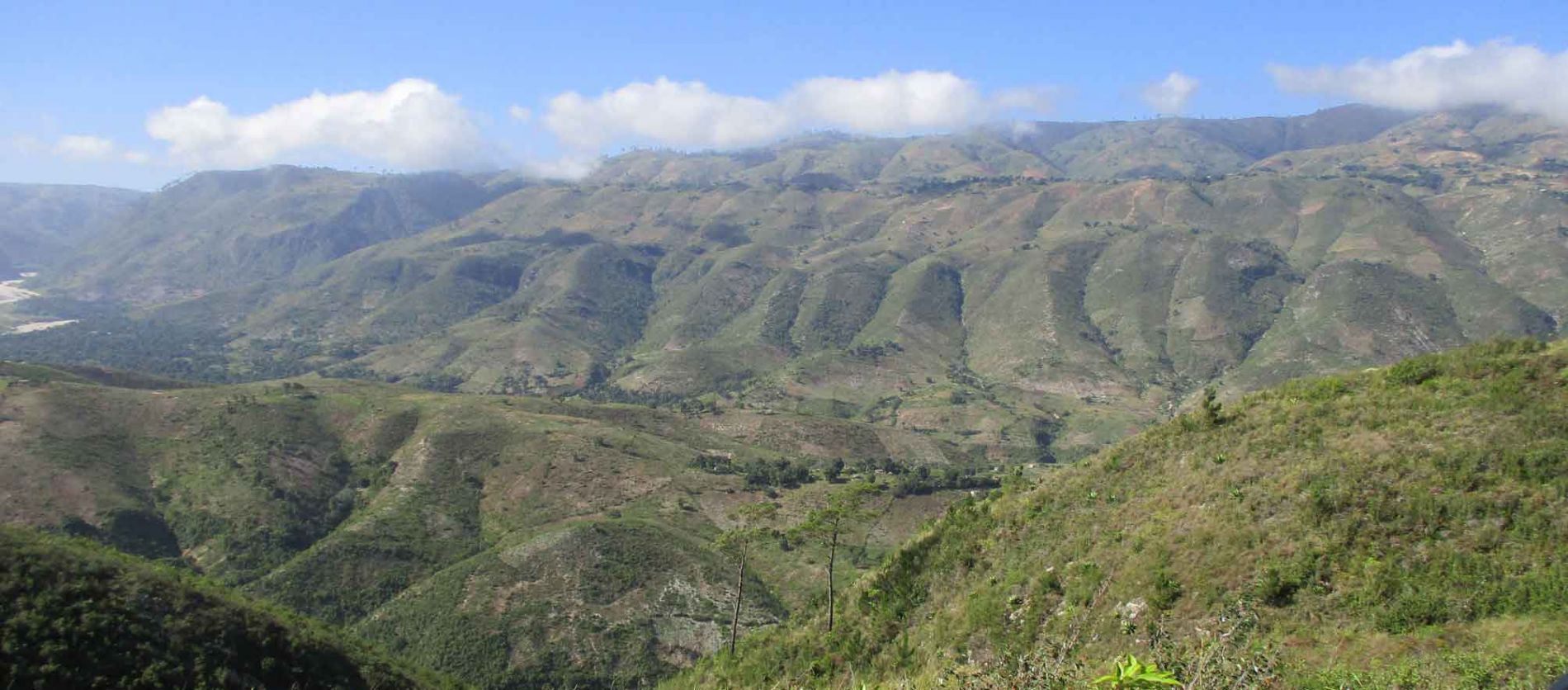 UNA RESPUESTA A LA GESTIN Y CONSERVACIN DE LA BIODIVERSIDAD EN HAIT
