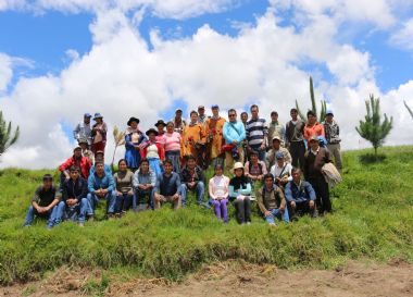 Impulso de la produccin agropecuaria