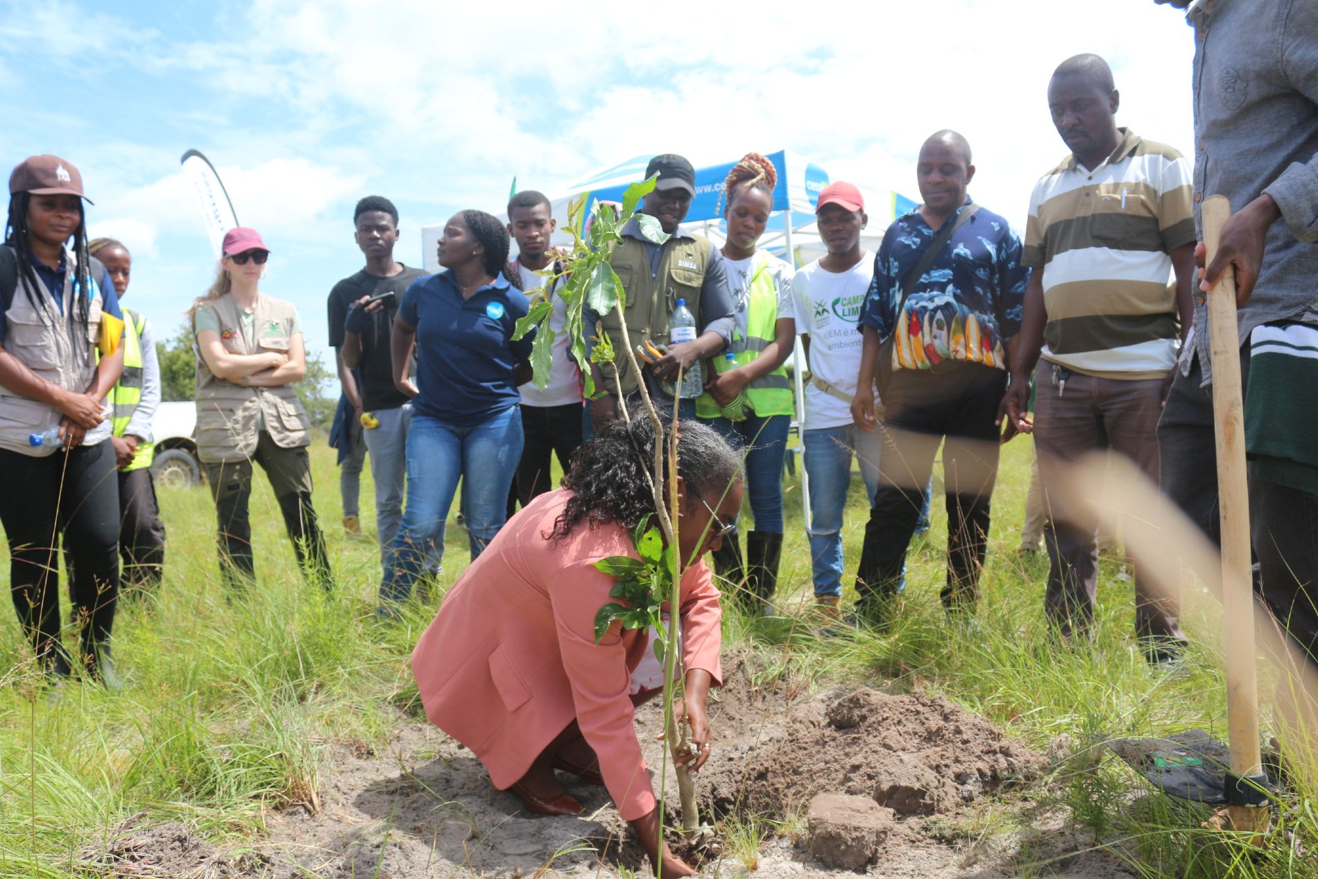 Jornada de reforestaci�n en Guengo