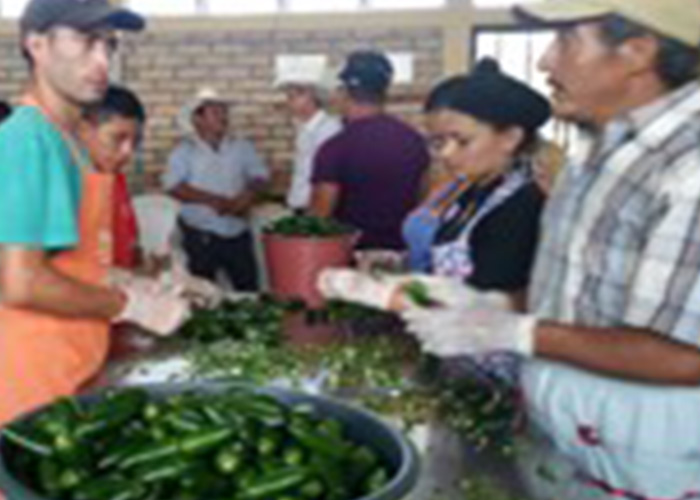 Taller de envasado y procesado de alimento_Occidente_Honduras_2018