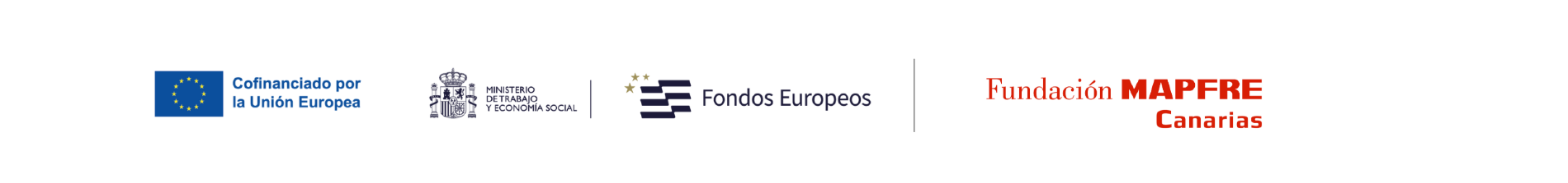 Tenerife Vivo fundacion mapfre