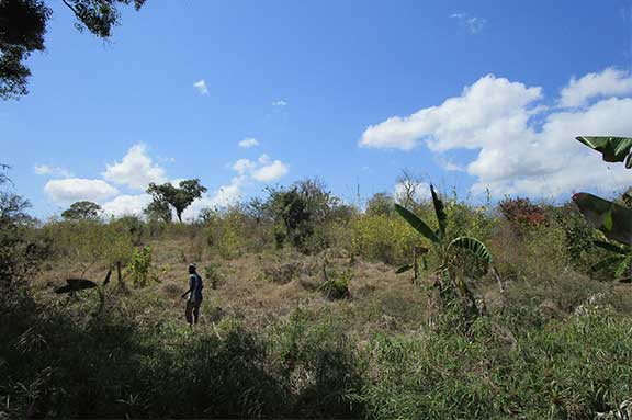 coronavirus en el mundo africa amrica latina solidaridad dona cesal es urgente