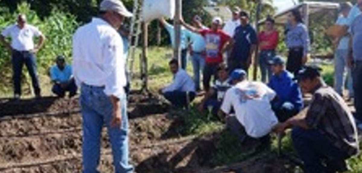 Se capacitacin a 13 Productores Asesores Voluntarios pertenecientes a las Escuelas de Campo establecidas por la Asociacin CESAL