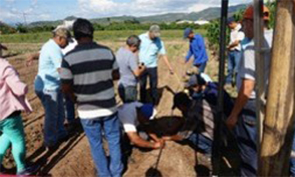 Se capacitacin a 13 Productores Asesores Voluntarios pertenecientes a las Escuelas de Campo establecidas por la Asociacin CESAL