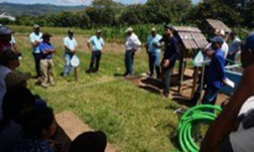 Se capacitacin a 13 Productores Asesores Voluntarios pertenecientes a las Escuelas de Campo establecidas por la Asociacin CESAL