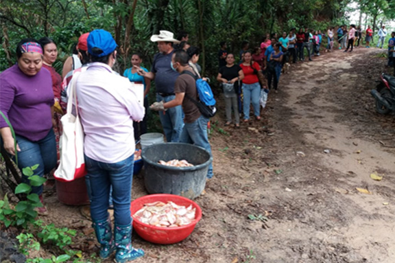 Seguridad Alimentaria