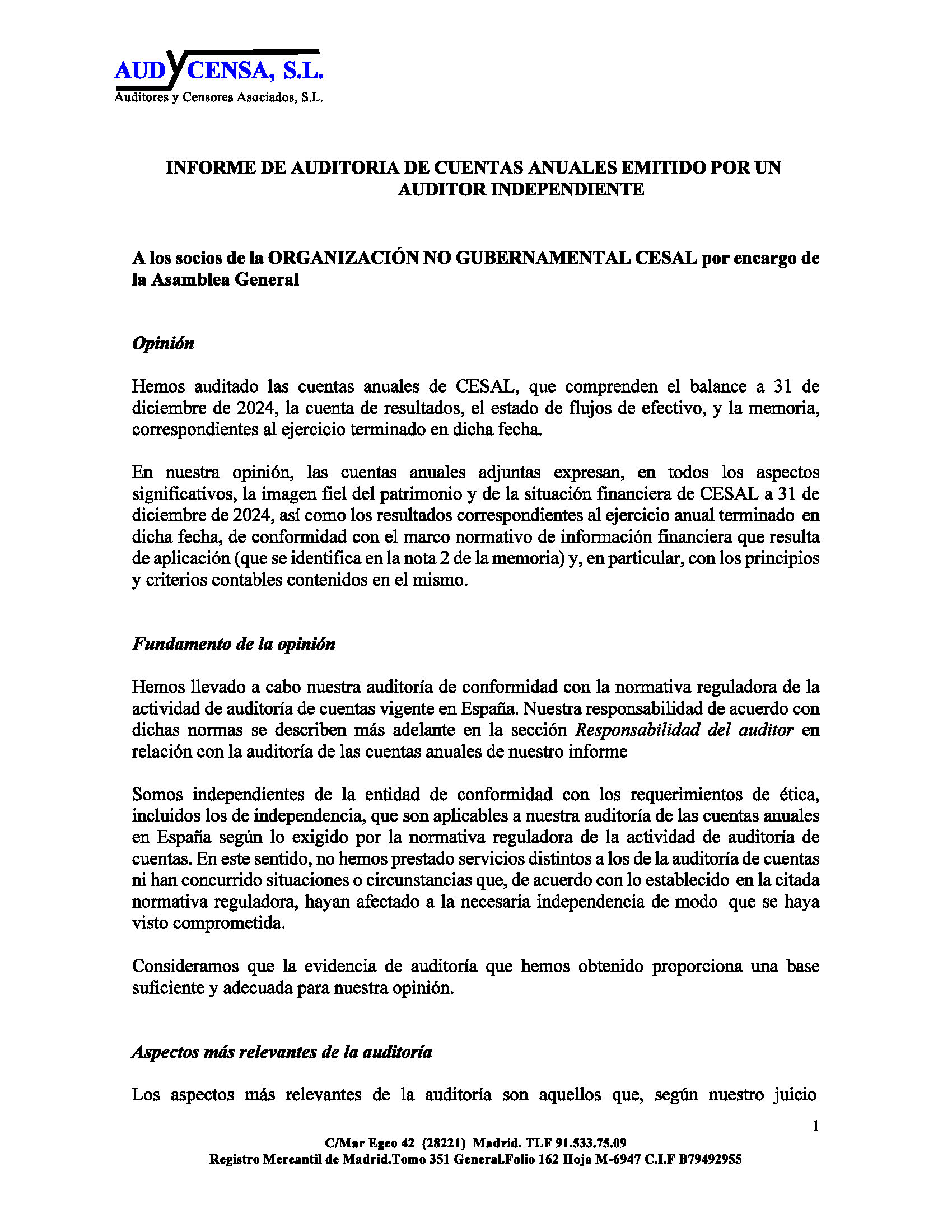 Informe de auditora y cuentas anuales 2024