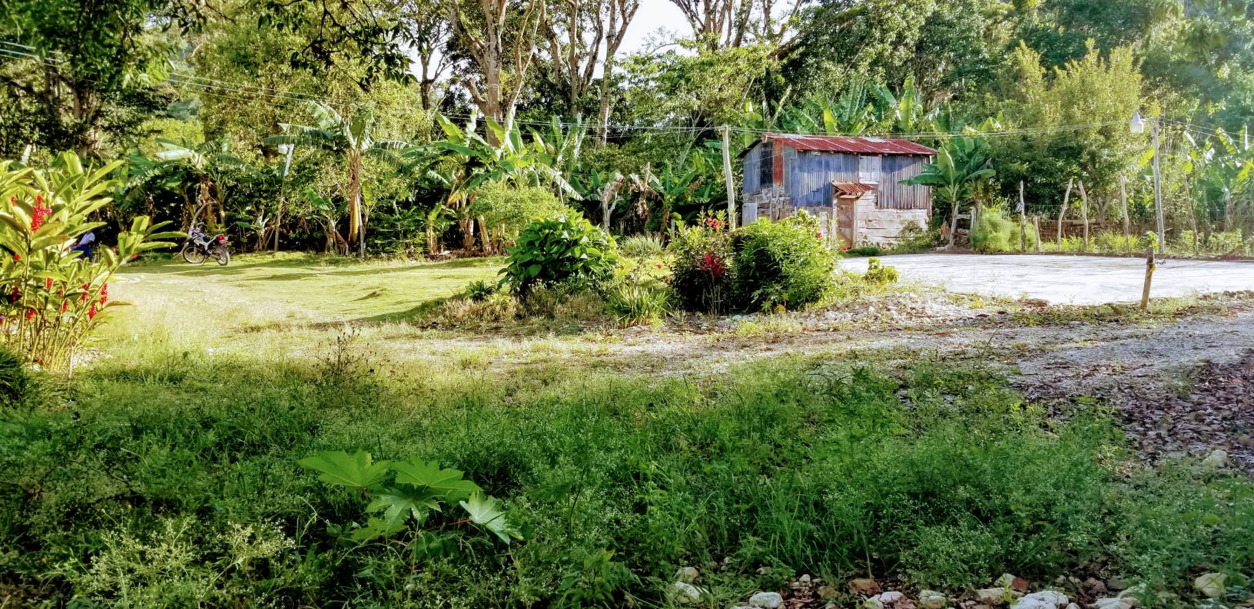 Secadero de caf en Polo