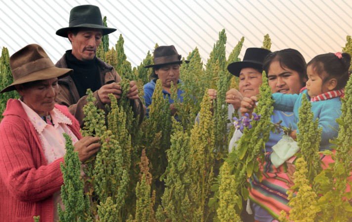 Desarrrollo y fortalecimiento de Cadenas de Valor Agrcolas: La intervencin de Cesal en la sierra sur del Per.