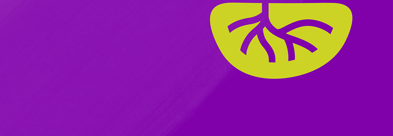 Conectando races Cesal