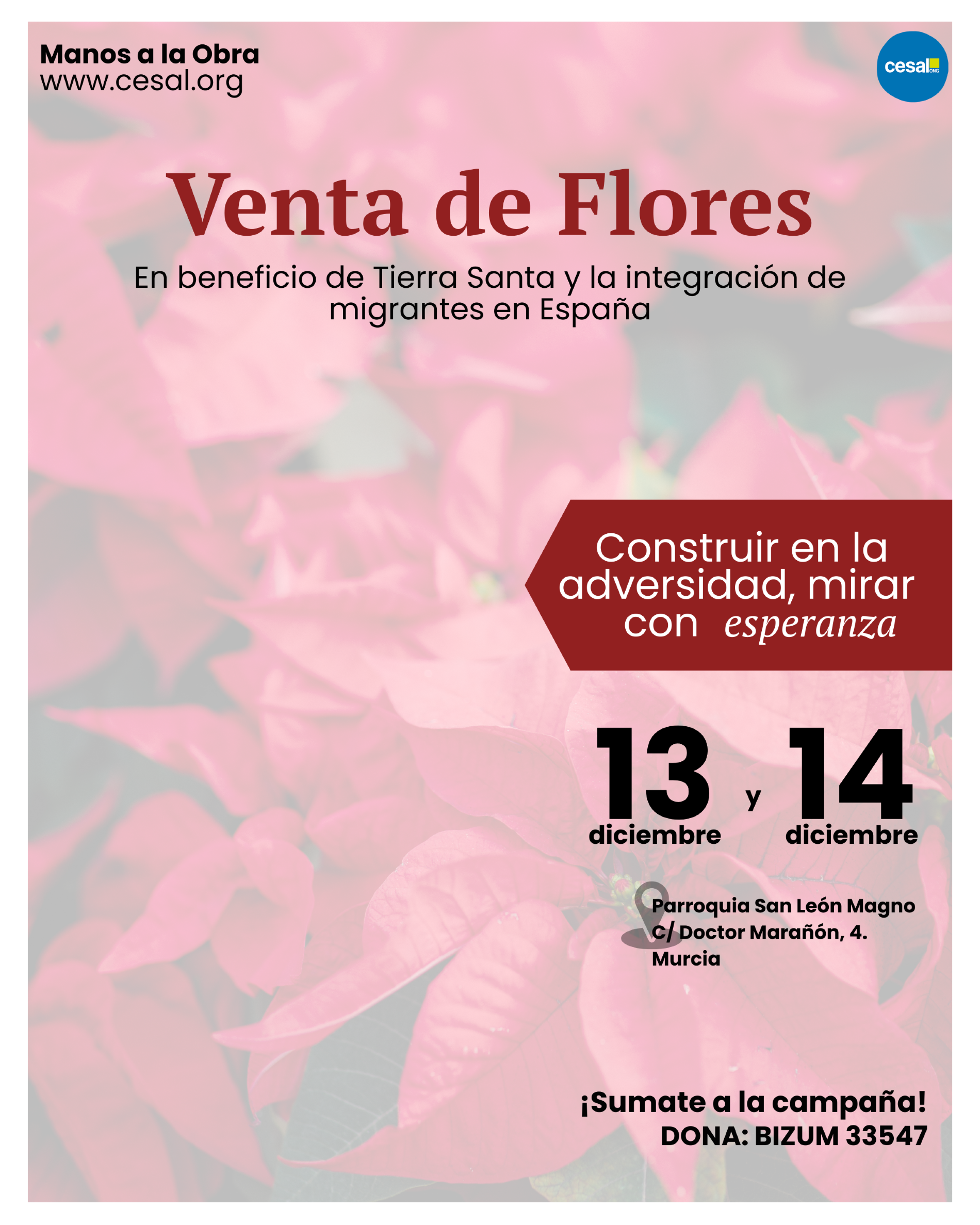 Venta de flores