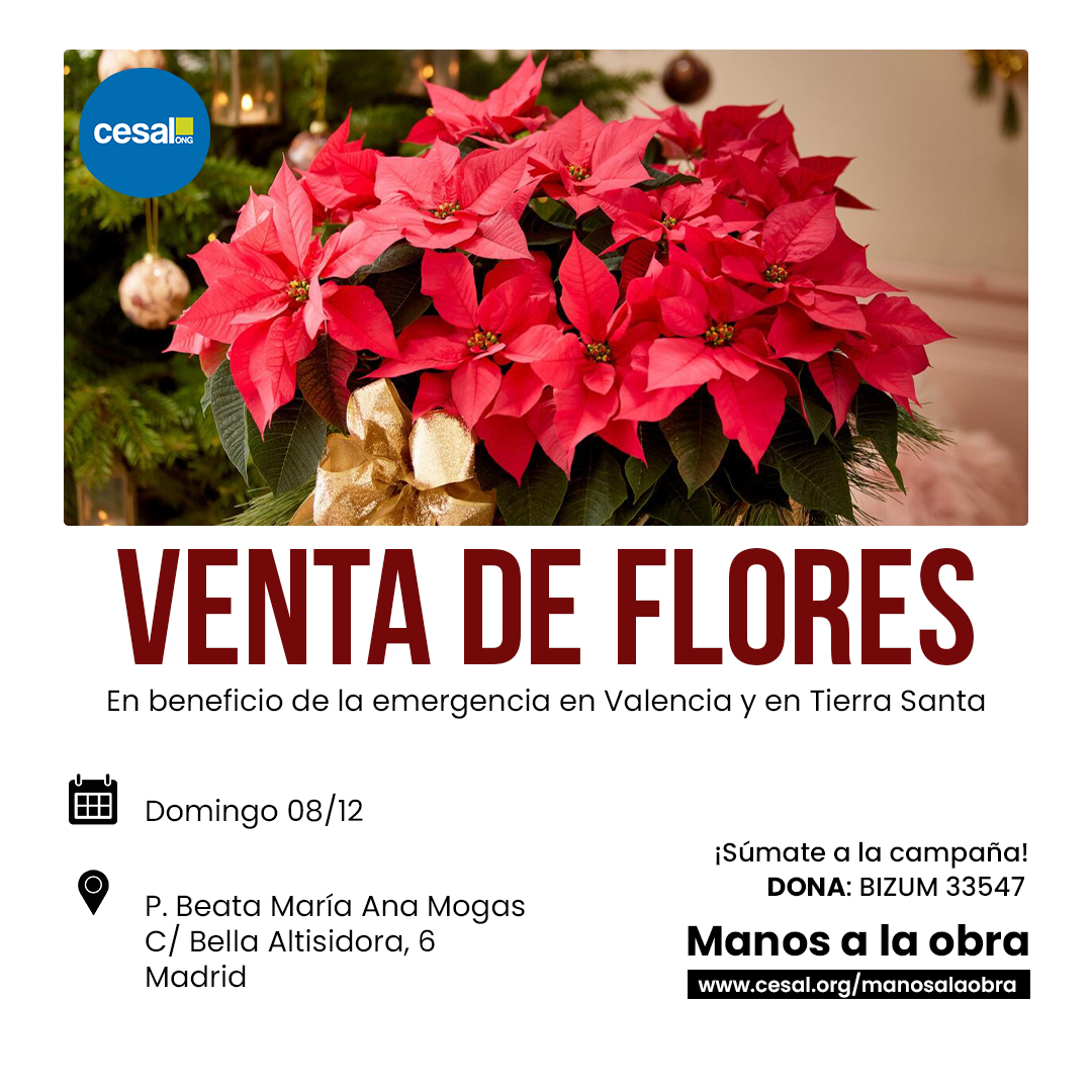 Venta de flores - Madrid Cesal