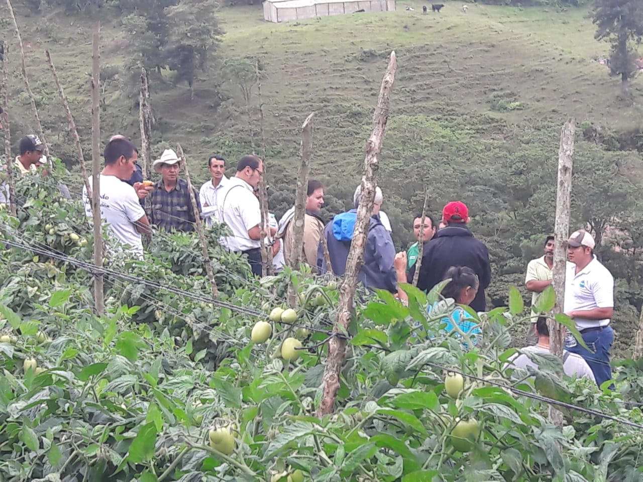 Visita de la delegacin de Espaa_occidente_Honduras_2018