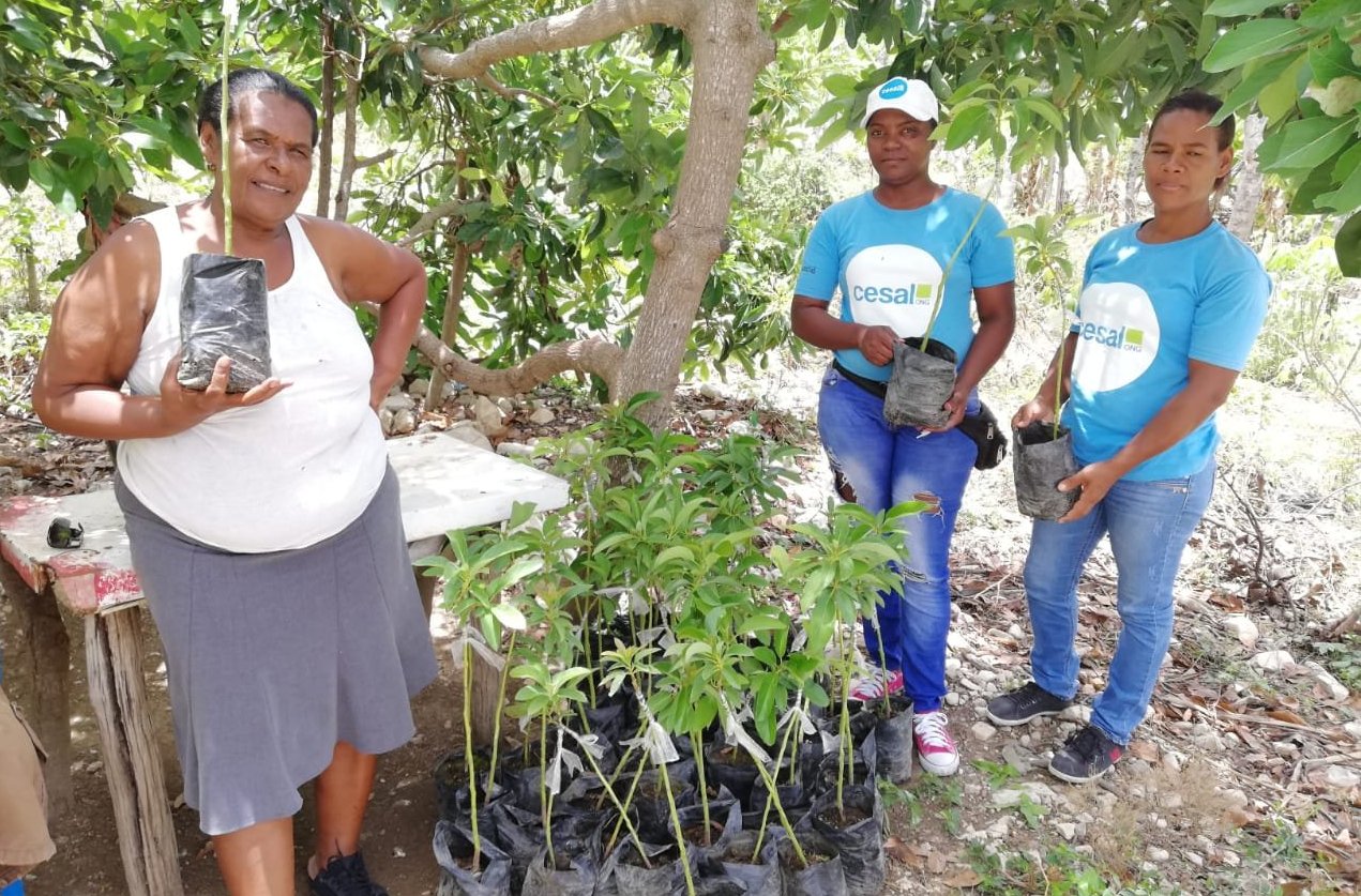 Trabajo en terreno de las pasantes de cesal