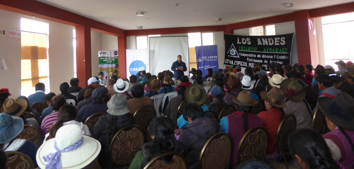 imgen de nuestro trabajo