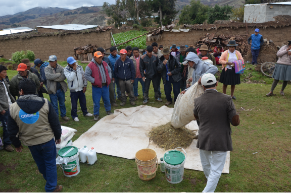 imagen del proyecto