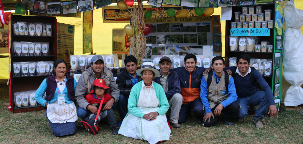imagen del proyecto