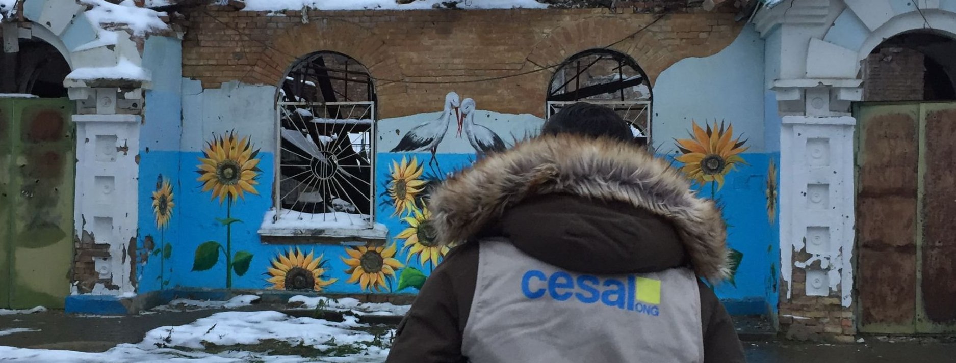 CESAL Accin Humanitaria