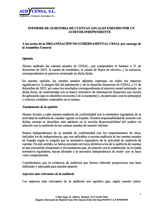 Informe de auditor�a y cuentas anuales 2025