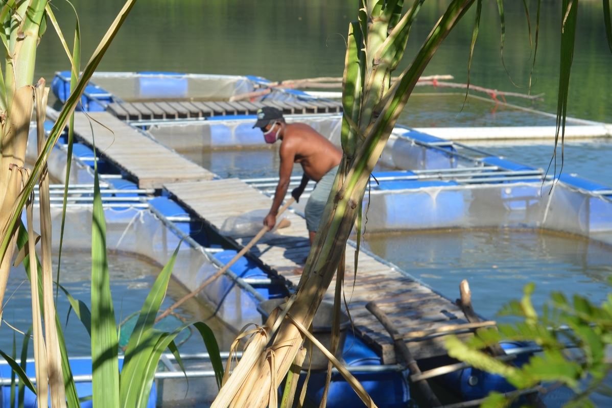 Pesca en Republica Dominicana