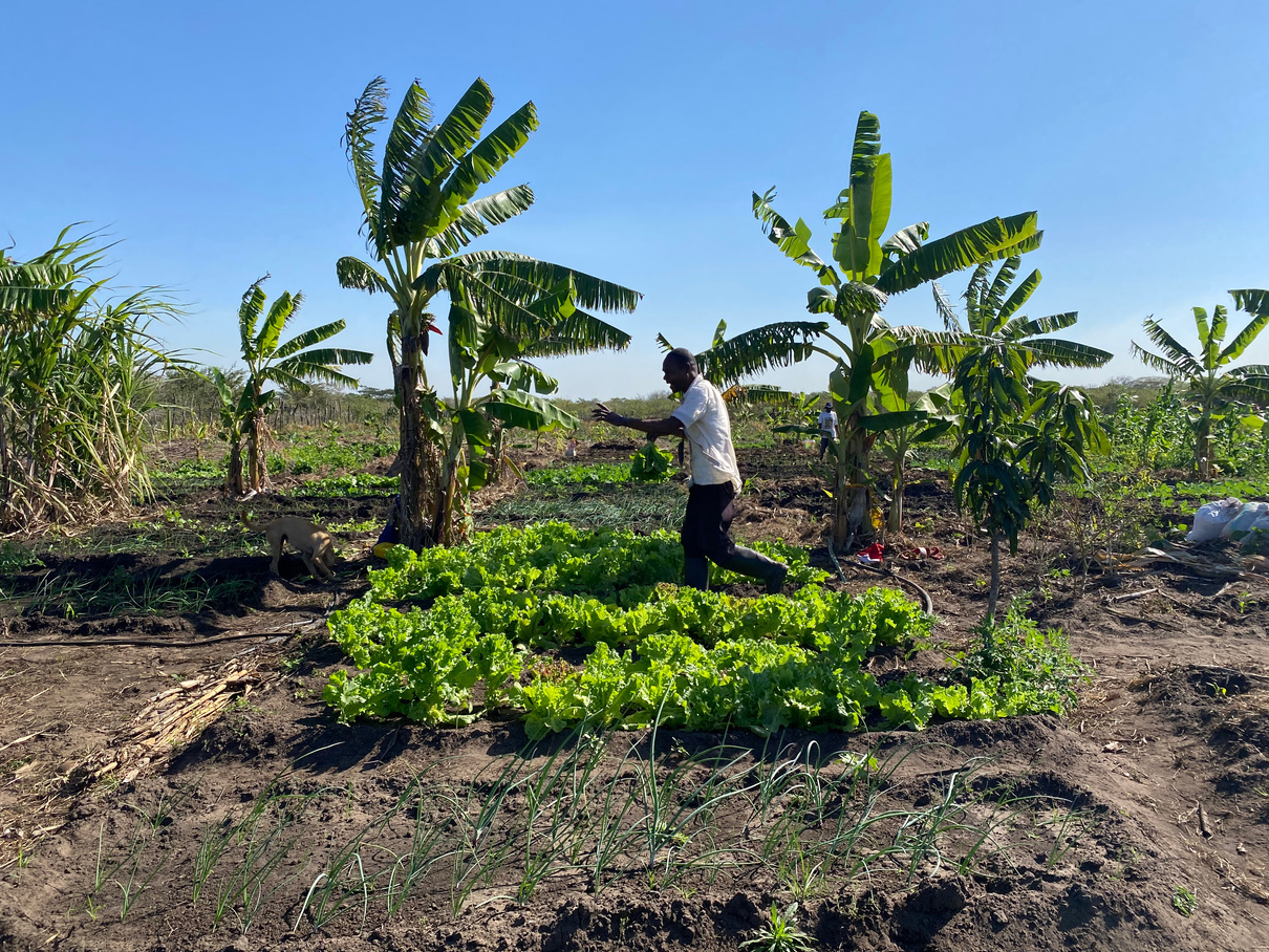 Impulsando la Resiliencia Ambiental y Social en Mozambique